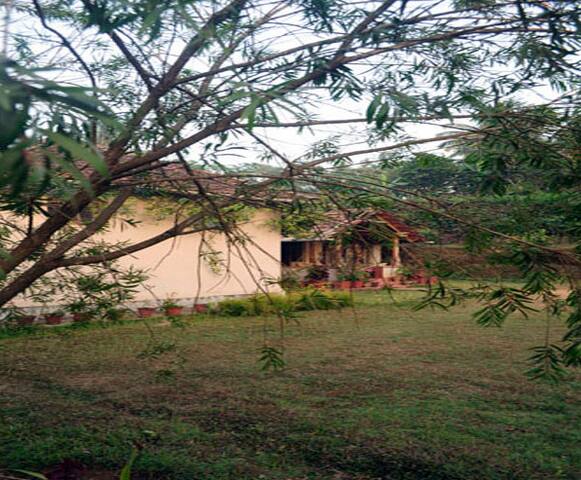 Crimsoneye Homestay, Madikeri 2